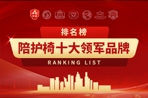 2025年陪护系统十大品牌排行榜